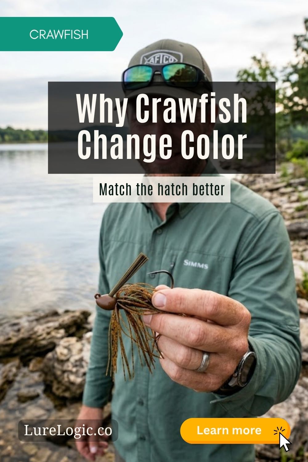 Crawfish in seasonal color phases โ red spring, brown summer, dark fall โ on a rocky bottom