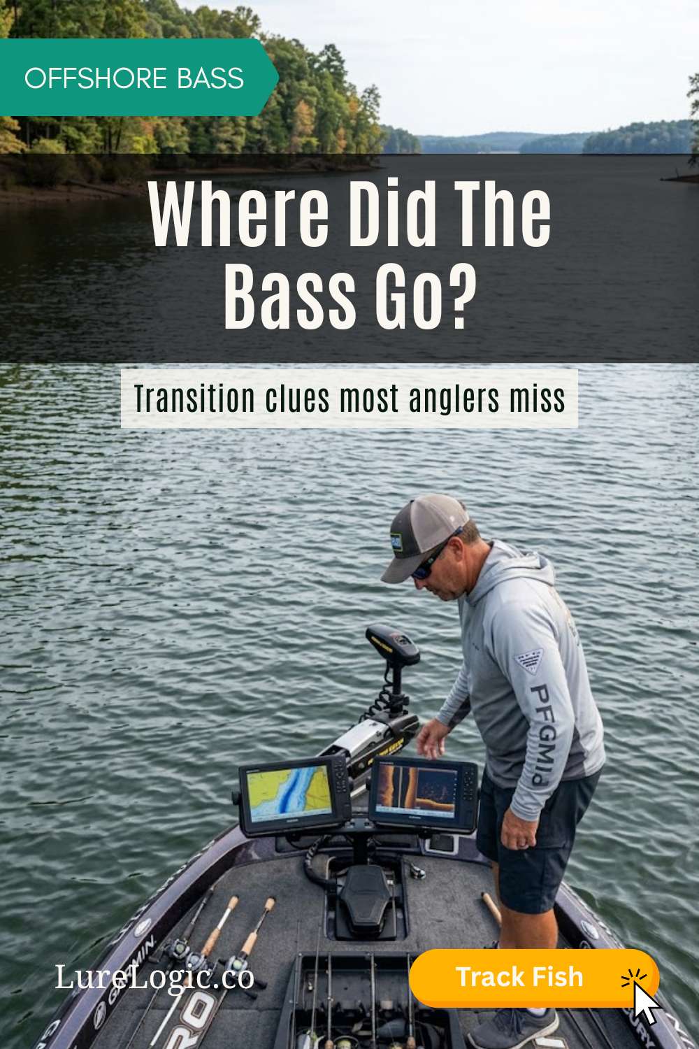 Largemouth bass holding on a transition bank between seasons