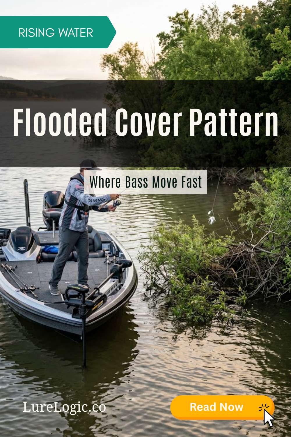 Largemouth bass holding in freshly flooded shoreline cover during rising water