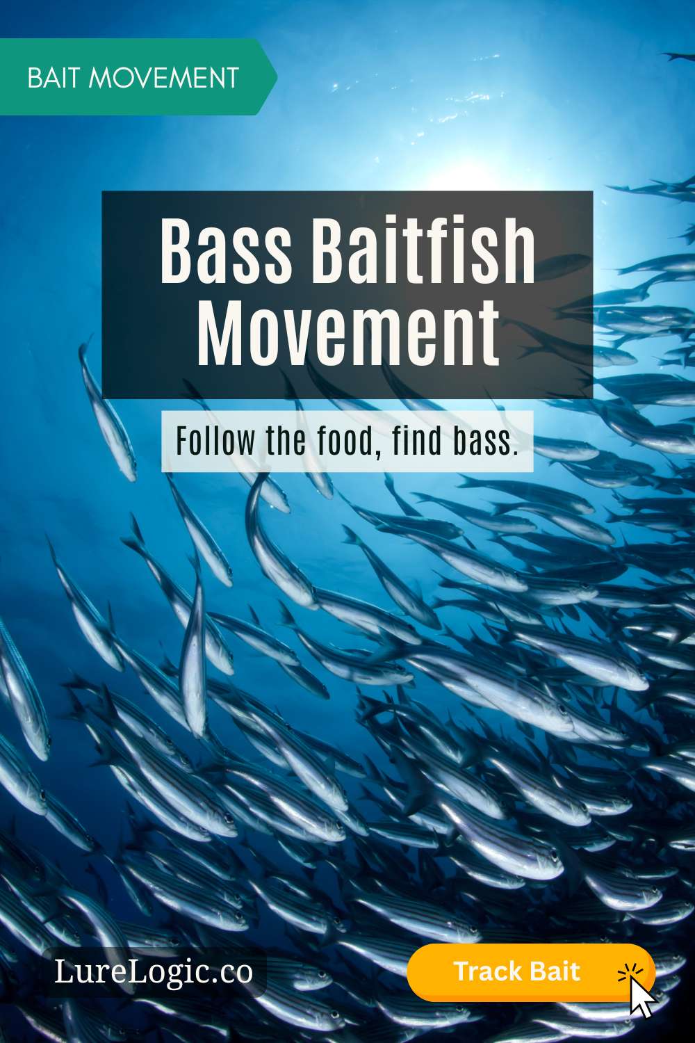 Bass baitfish movement