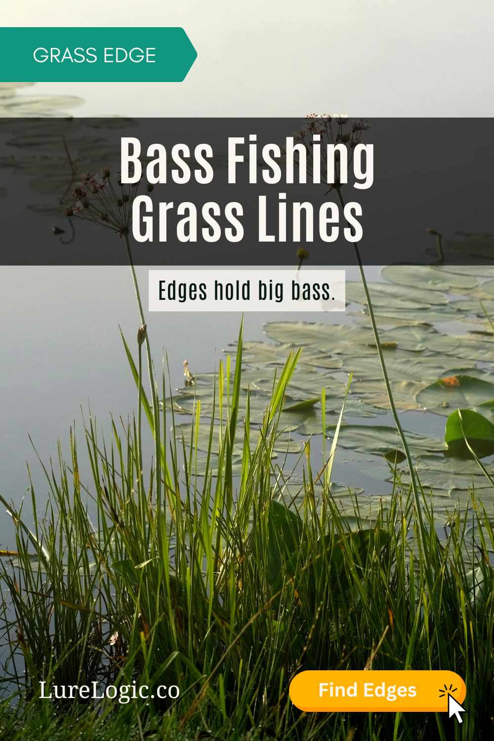 Bass fishing grass lines