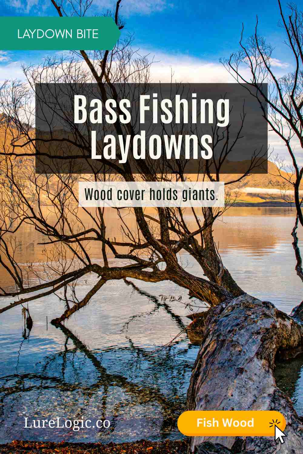 Bass fishing laydowns