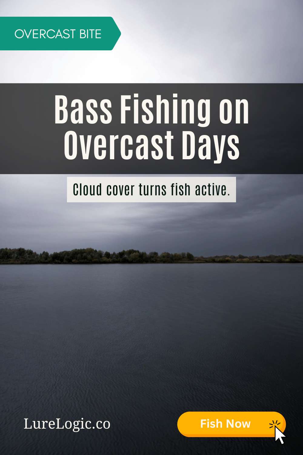 Bass fishing overcast days