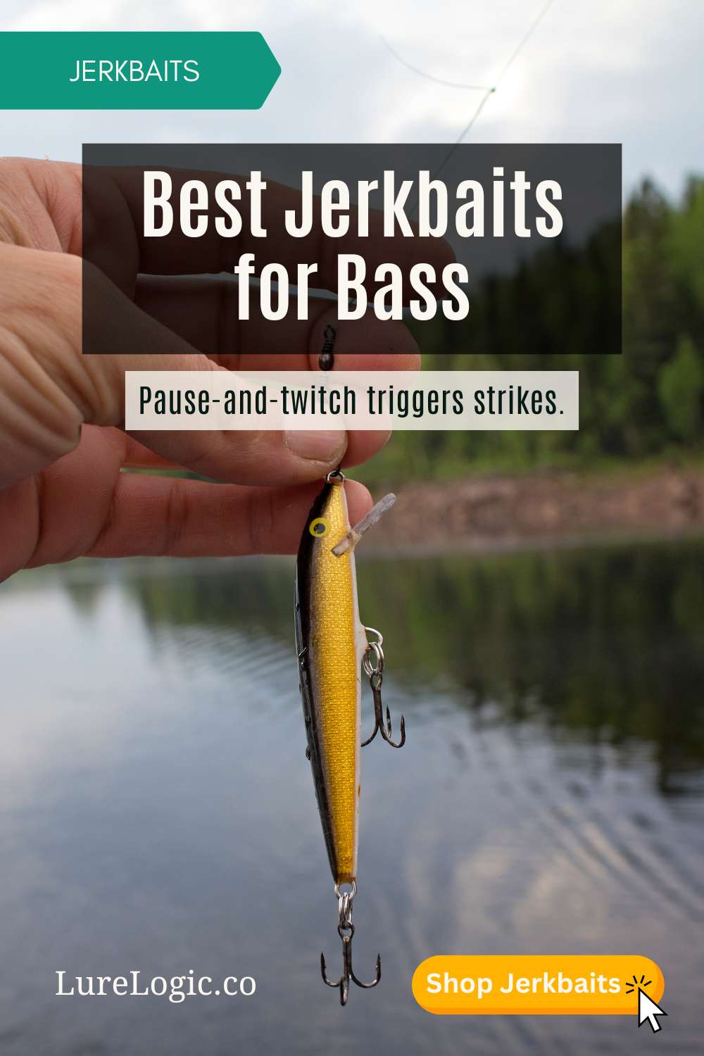 Best jerkbaits for bass