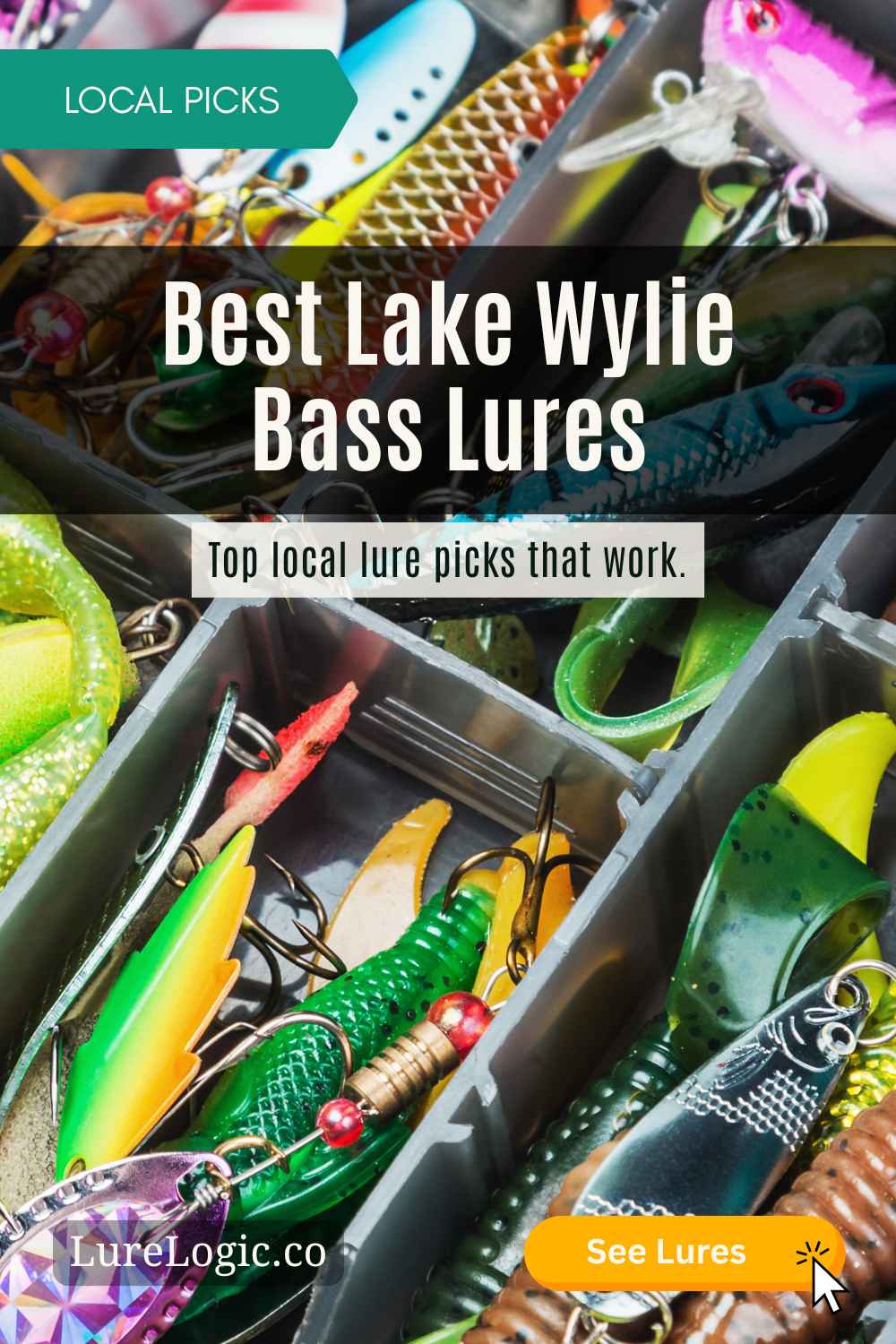 Best Lake Wylie bass lures