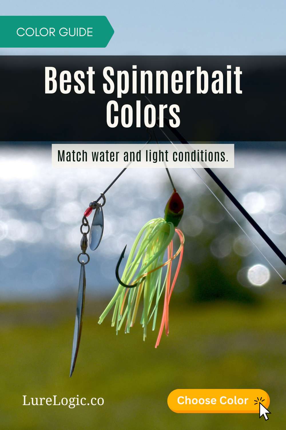 Spinnerbait color guide