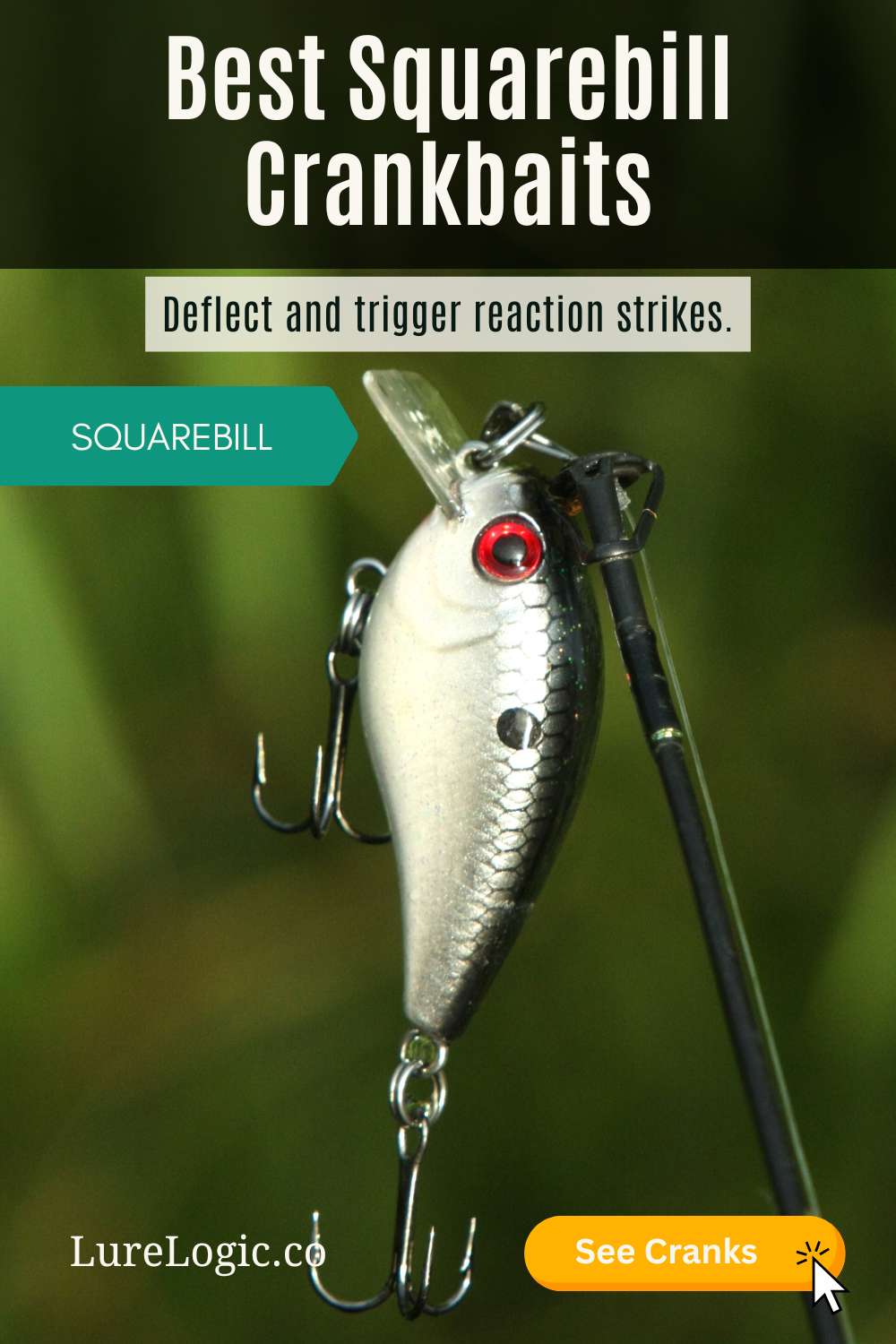 Best squarebill crankbaits