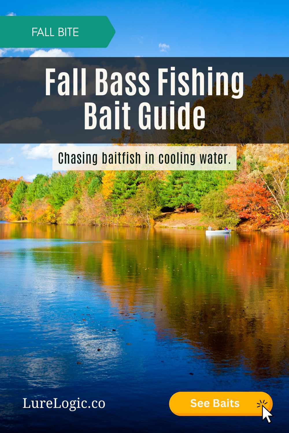 Fall bass fishing bait guide