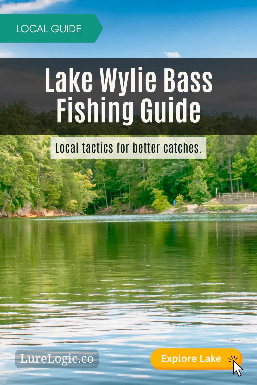 Lake Wylie bass fishing guide