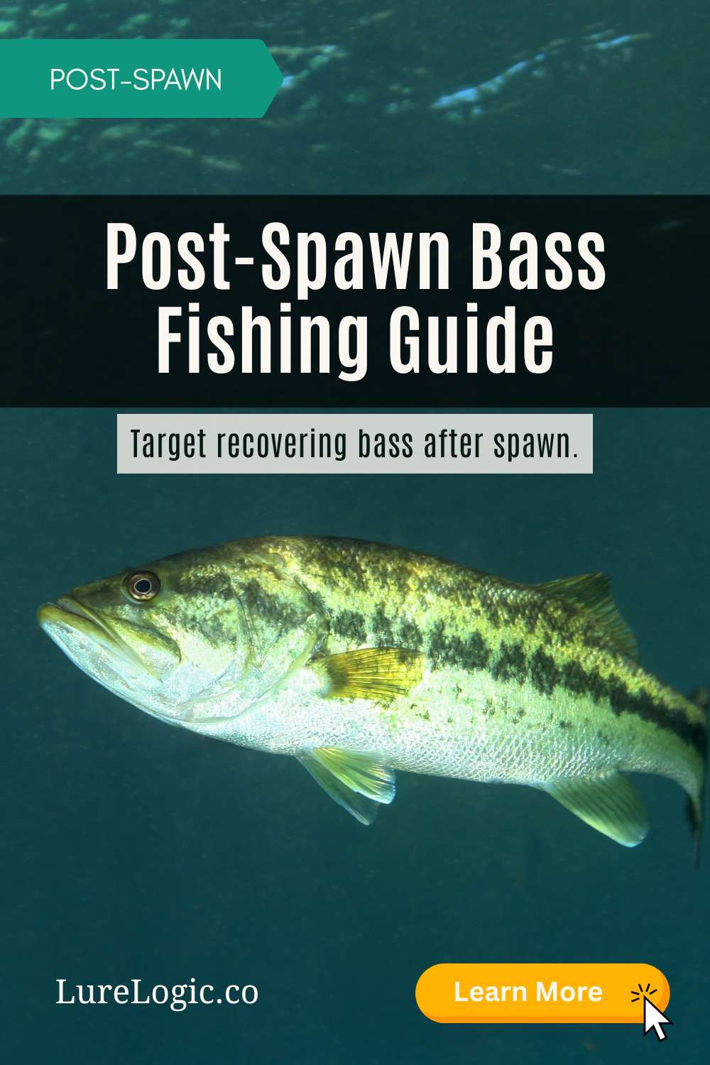 Post-spawn bass fishing guide