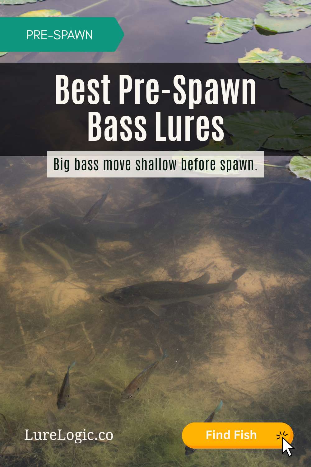 Pre-spawn bass fishing lures
